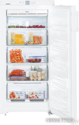 Морозильник Liebherr GNP 1956