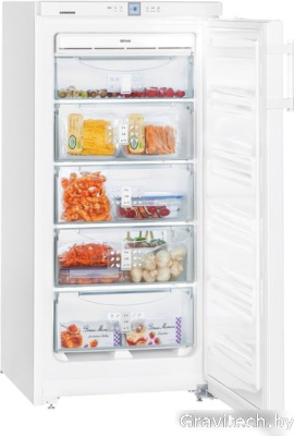 Морозильник Liebherr GNP 1956