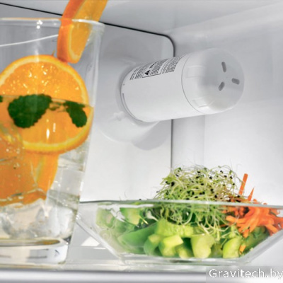 Холодильник Liebherr ECBN 6256