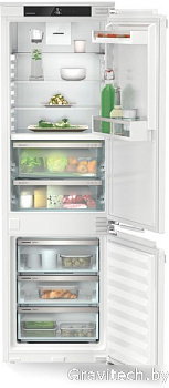 Холодильник Liebherr ICBNdi 5123 Plus BioFresh NoFrost