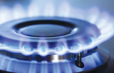 Кухонная плита Artel Ottima 50G (коричневый)