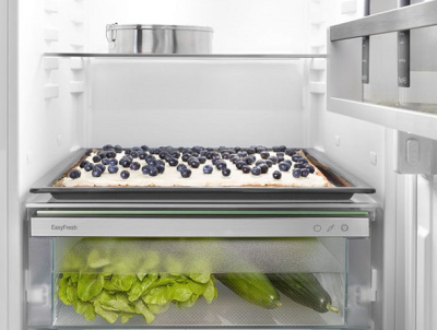 Холодильник Liebherr ICNd 5123 Plus NoFrost 5123-20001