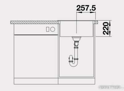 Кухонная мойка Blanco Pleon 5 (жасмин) [521673]