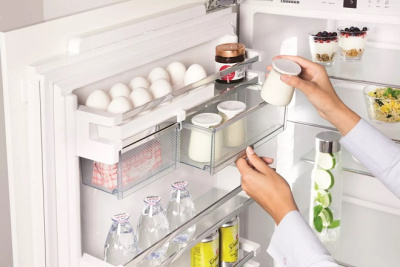 Однокамерный холодильник Liebherr IKB 2760