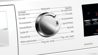 Сушильная машина Bosch Serie 6 WTR87TW0PL