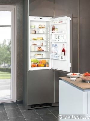 Однокамерный холодильник Liebherr IK 2320