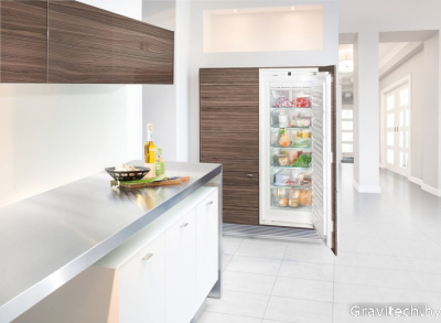 Морозильник Liebherr SIGN 2756