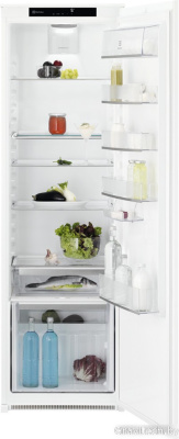 Однокамерный холодильник Electrolux LRB3DE18S