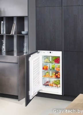 Однокамерный холодильник Liebherr SIBP 1650