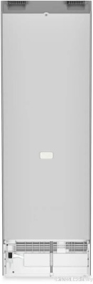 Однокамерный холодильник Liebherr Rsfd 5220 Plus