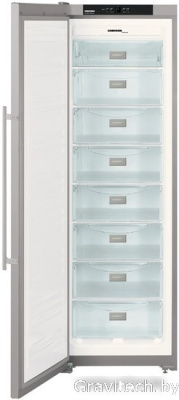 Морозильник Liebherr SGNesf 3063