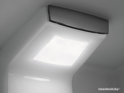 Холодильник Electrolux RNS9TE19S